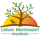 Limon Montessori Anaokulu
